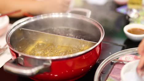 sopa de olla caliente a fuego lento con ingredientes vibrantes