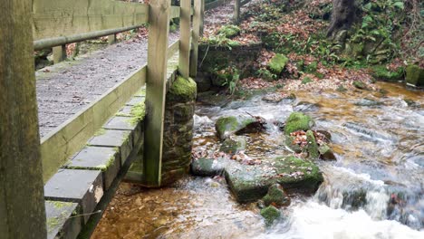 rushing river under footbridge in colourful idyllic autumn woodland lush foliage forest dolly left