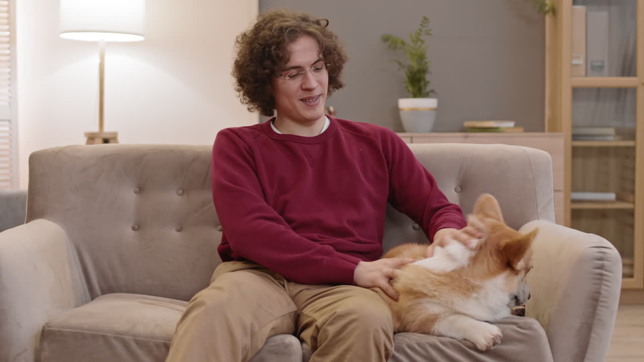 카우카시안 남자가 코르기 (corgie) 를 만지고 있다.