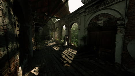 abandoned building with overgrown plants and sunlight streaming through