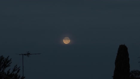 red moon behind clouds dusk magpie flies off of tv aerial australia, victoria, gippsland, maffra wide shot