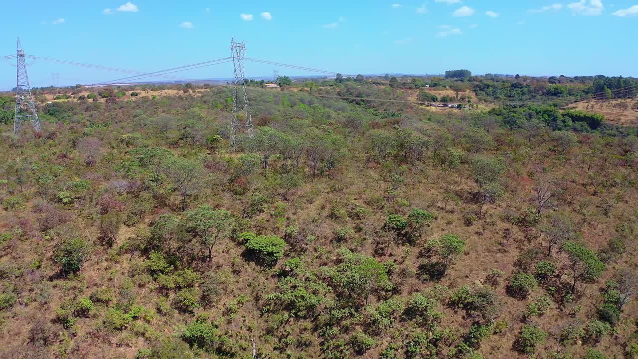Power lines stretching across Brazilian savanna, cutting through Cerrado biome's expansive grasslands with scattered trees and rich biodiversity