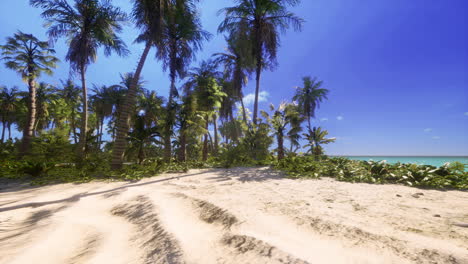 Miami-South-Beach-park-with-palms