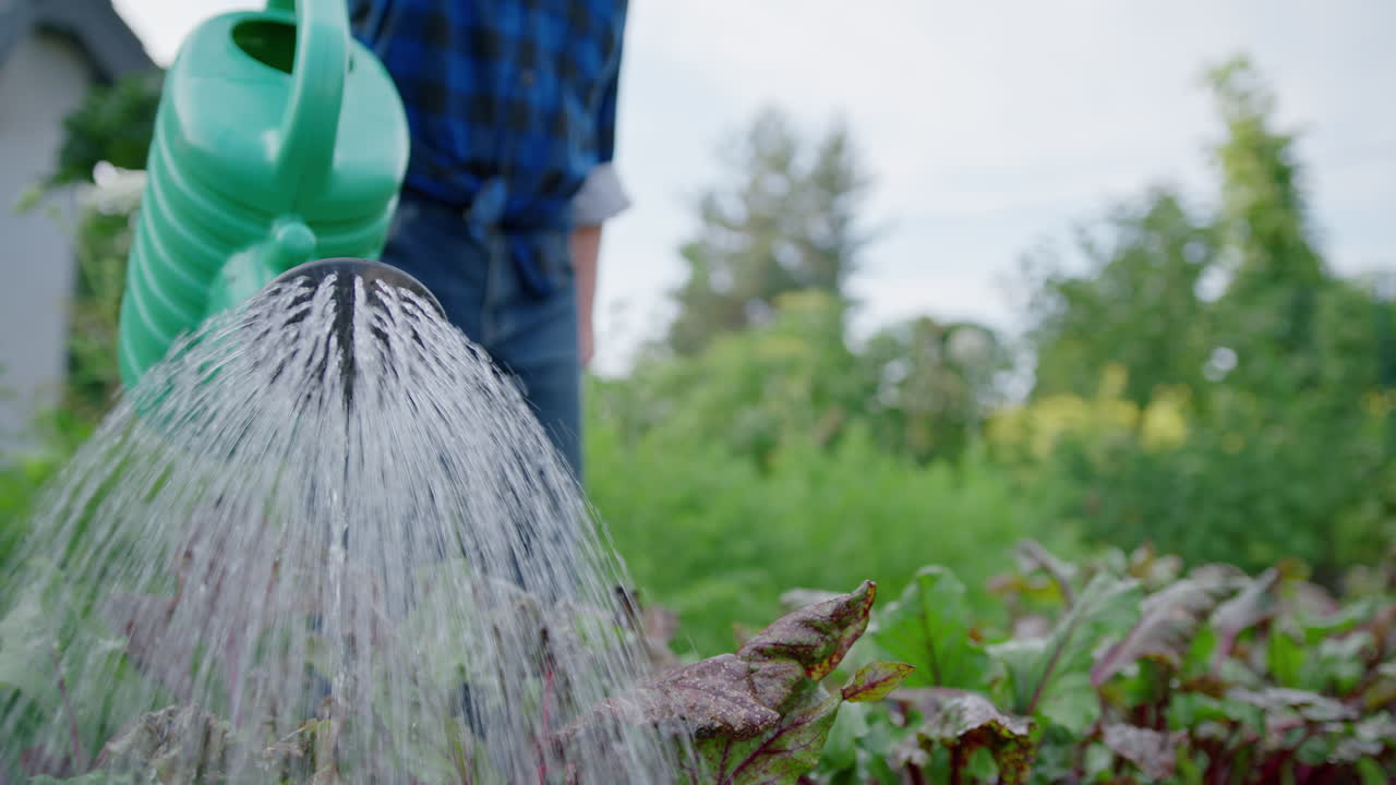 한 노인이 정원에 물을 주고 있다.
