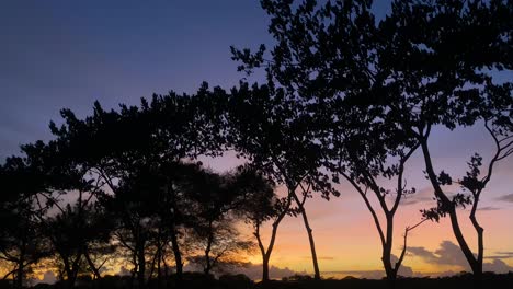 vista estática de una fila de árboles en una llamativa puesta de sol colorida