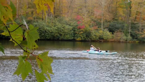 Price-Lake-Cerca-De-Blowing-Rock,-Carolina-Del-Norte,-En-Otoño