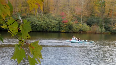 precio del lago cerca de la roca soplando nc en el otoño