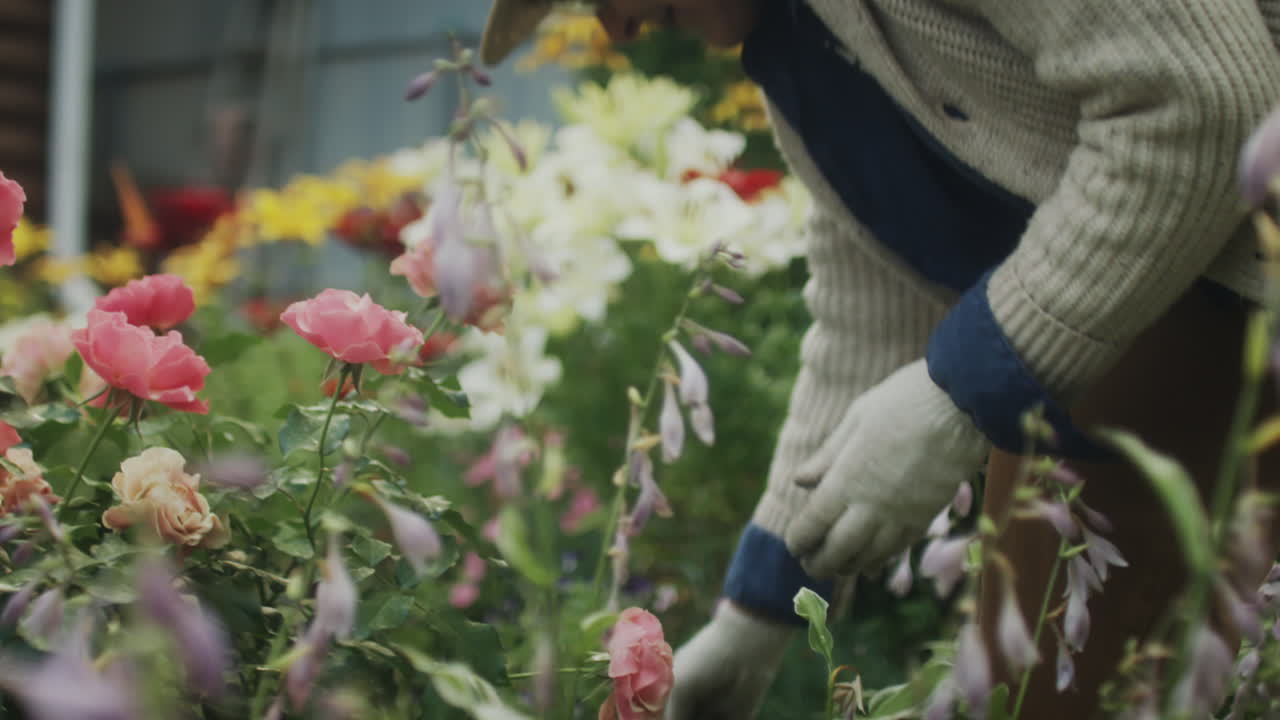 庭で花の手入れをする女性
