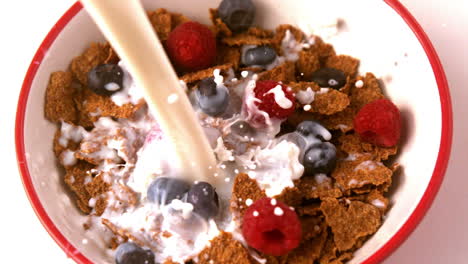 milk pouring into cereal bowl with berries