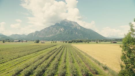 Üppiges-Grünes-Feld-Und-Berge-Aus-Einem-Zugfenster-Betrachtet,-Sonniger-Tag,-Ruhige-Landschaft