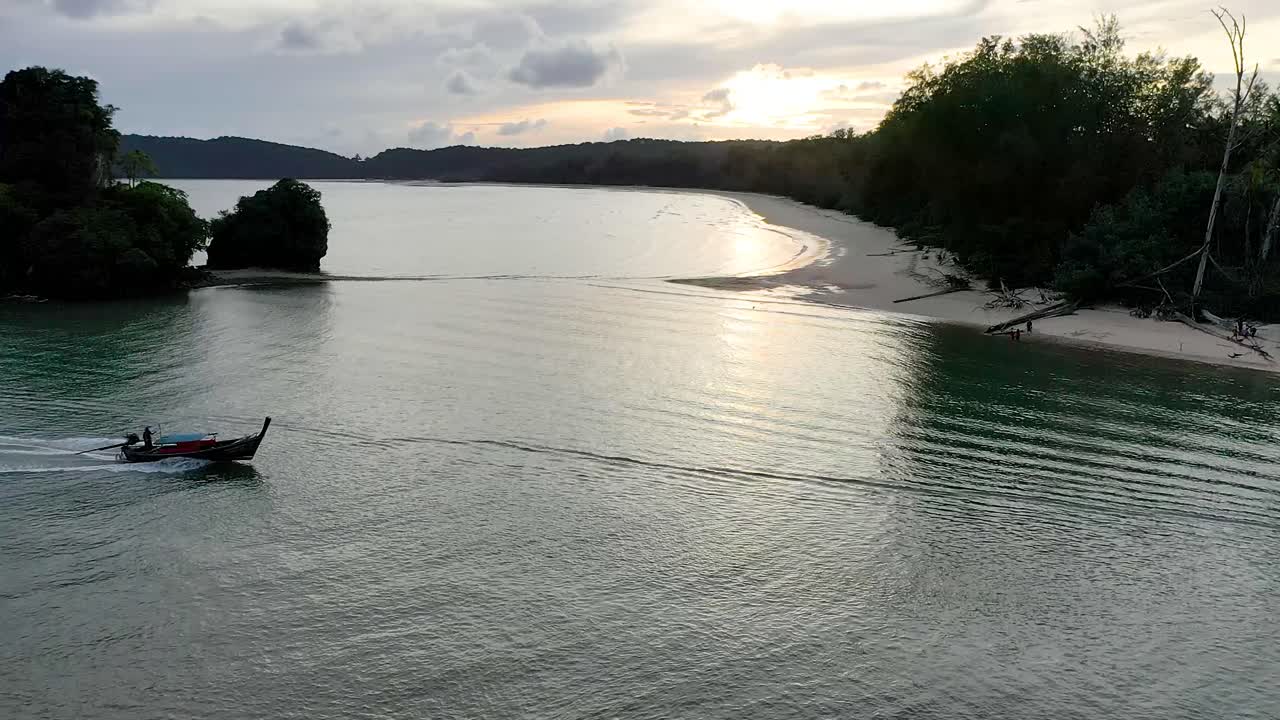 tropical beach and palm trees