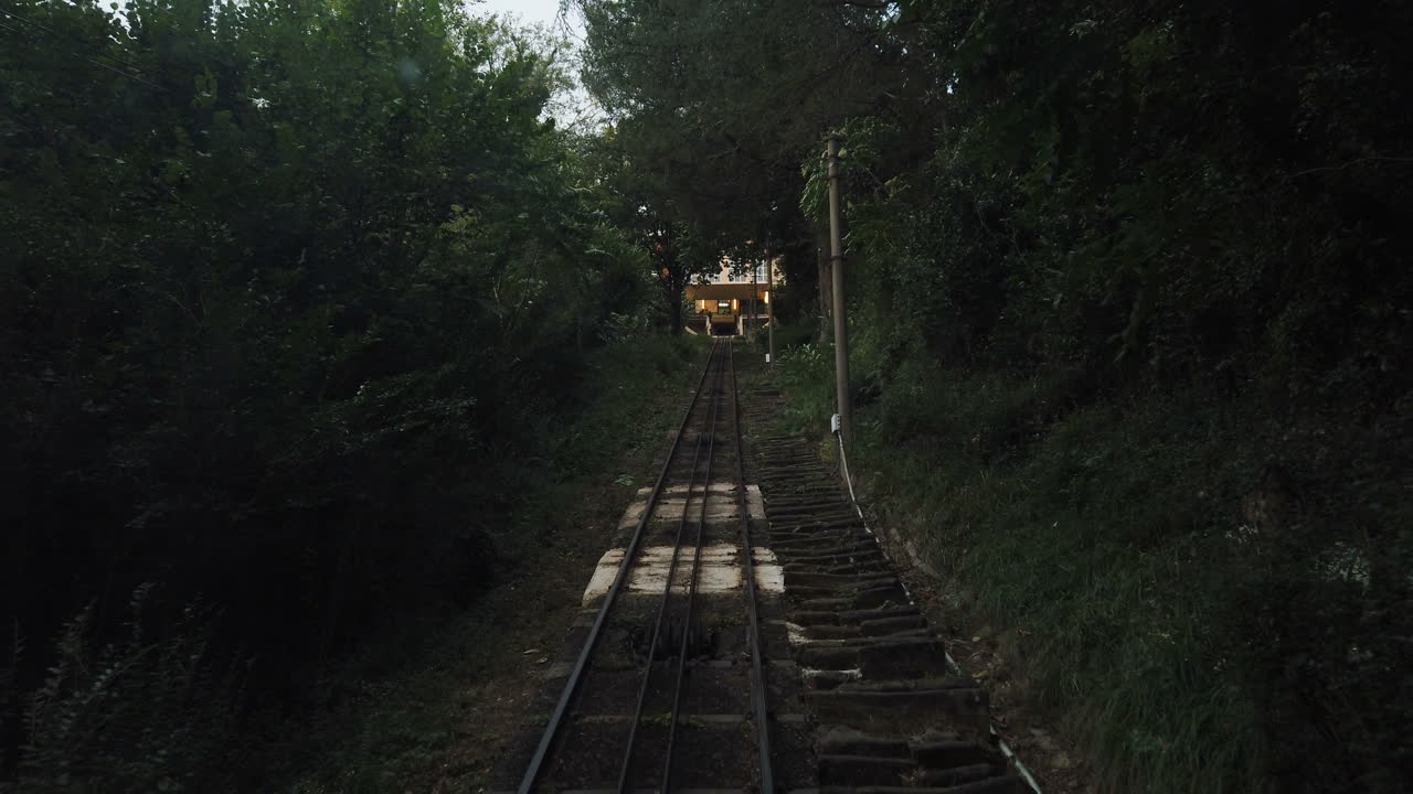 Funicular Railway Through Lush Greenery