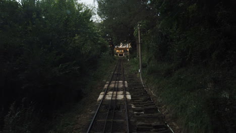 funicular railway through lush greenery