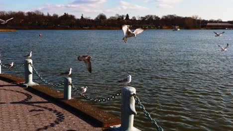 A-low-angle-shot-by-Meadow-Lake-in-Queens,-NY-on-a-sunny-day