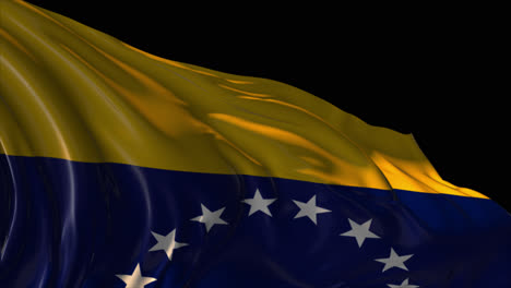 waving flag of venezuela