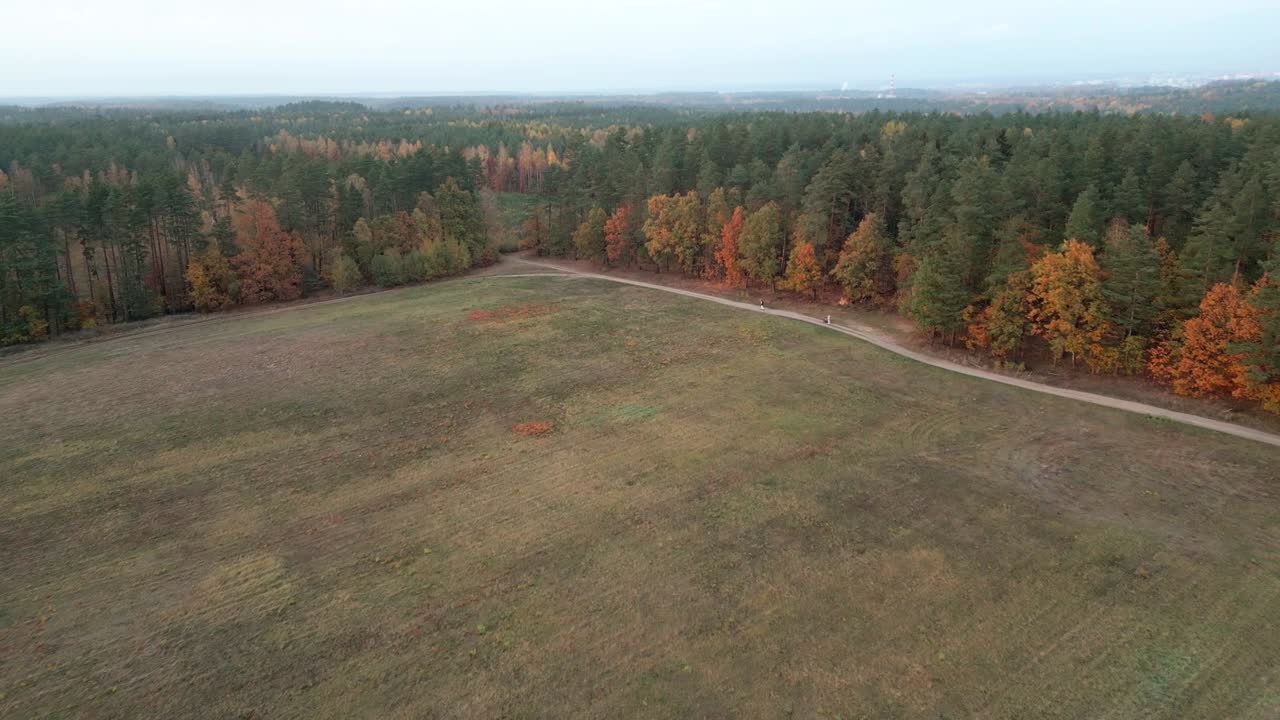 Pole, jesienny las i para spacerująca leśną ścieżką