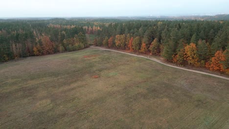 field, autumnal forest, and a couple walking along a forest path