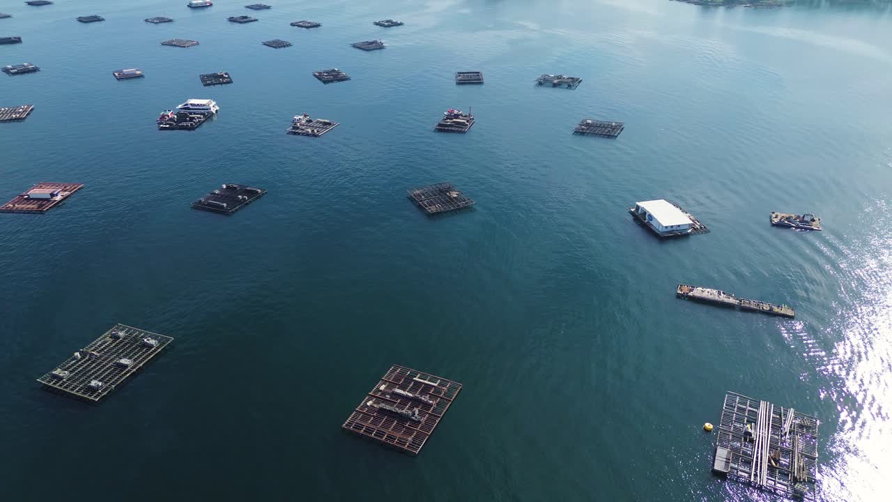 Aerial drone view of mussel rafts o the sea in Pontevedra, Spain