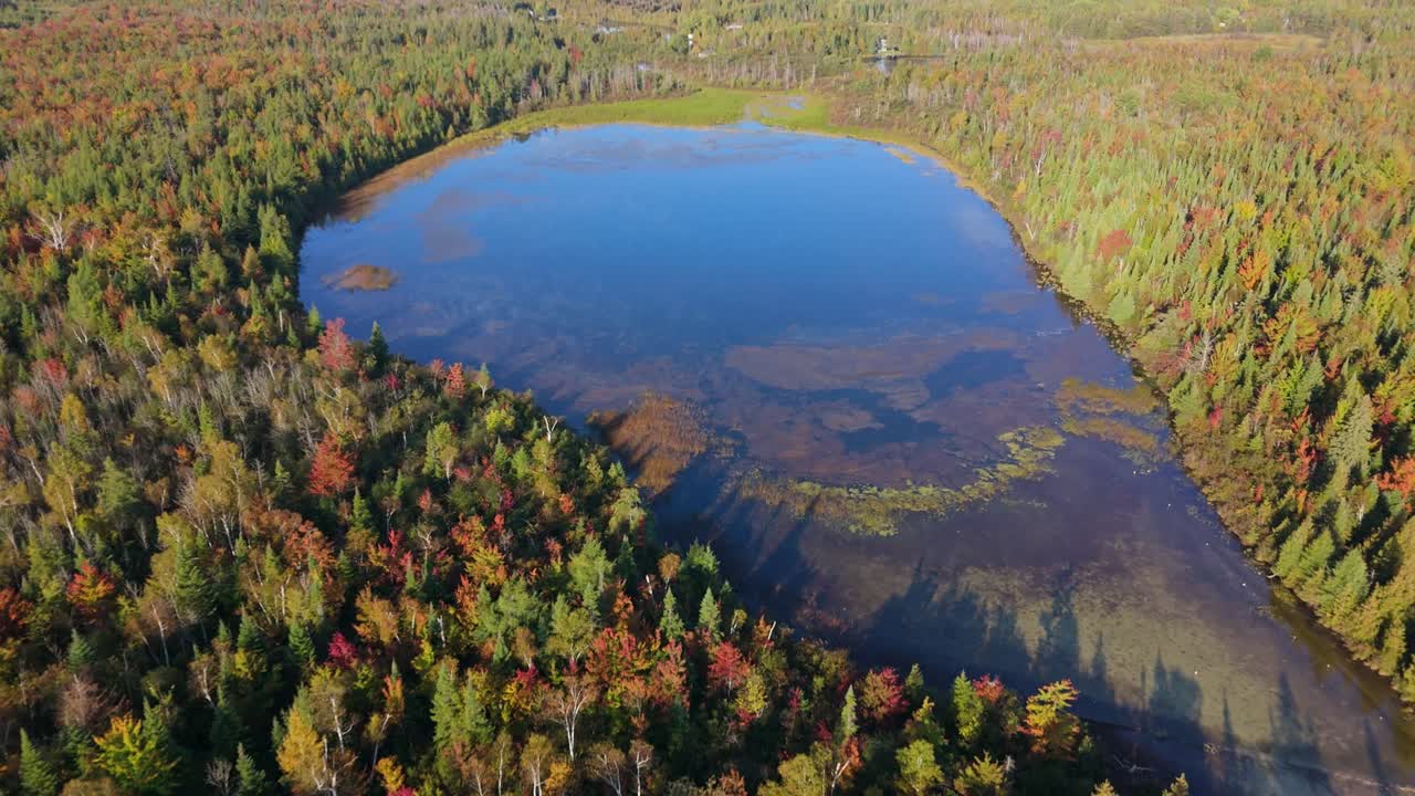 Small serene lake near Caledon, surrounded by fall colors and tranquil nature