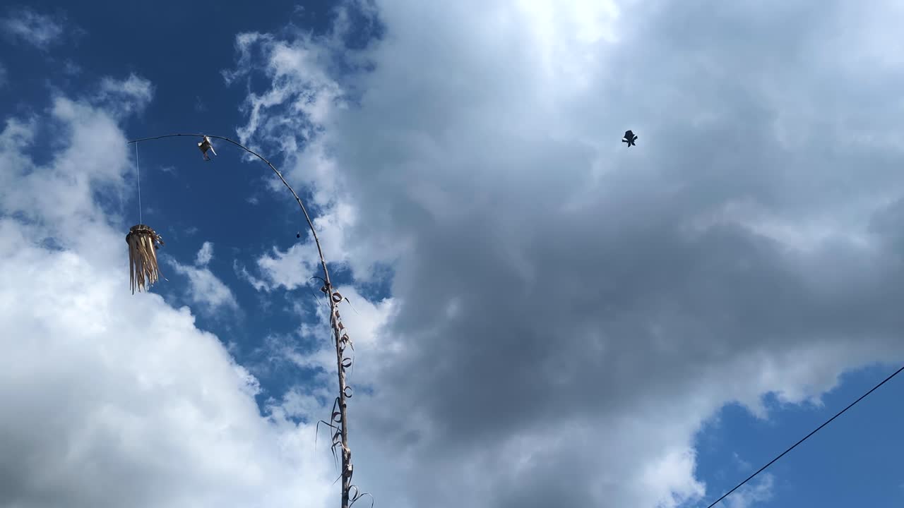 Balinese penjor religious decoration for Galungan and Kuningan holiday with flying kites on tropical island Bali Indonesia
