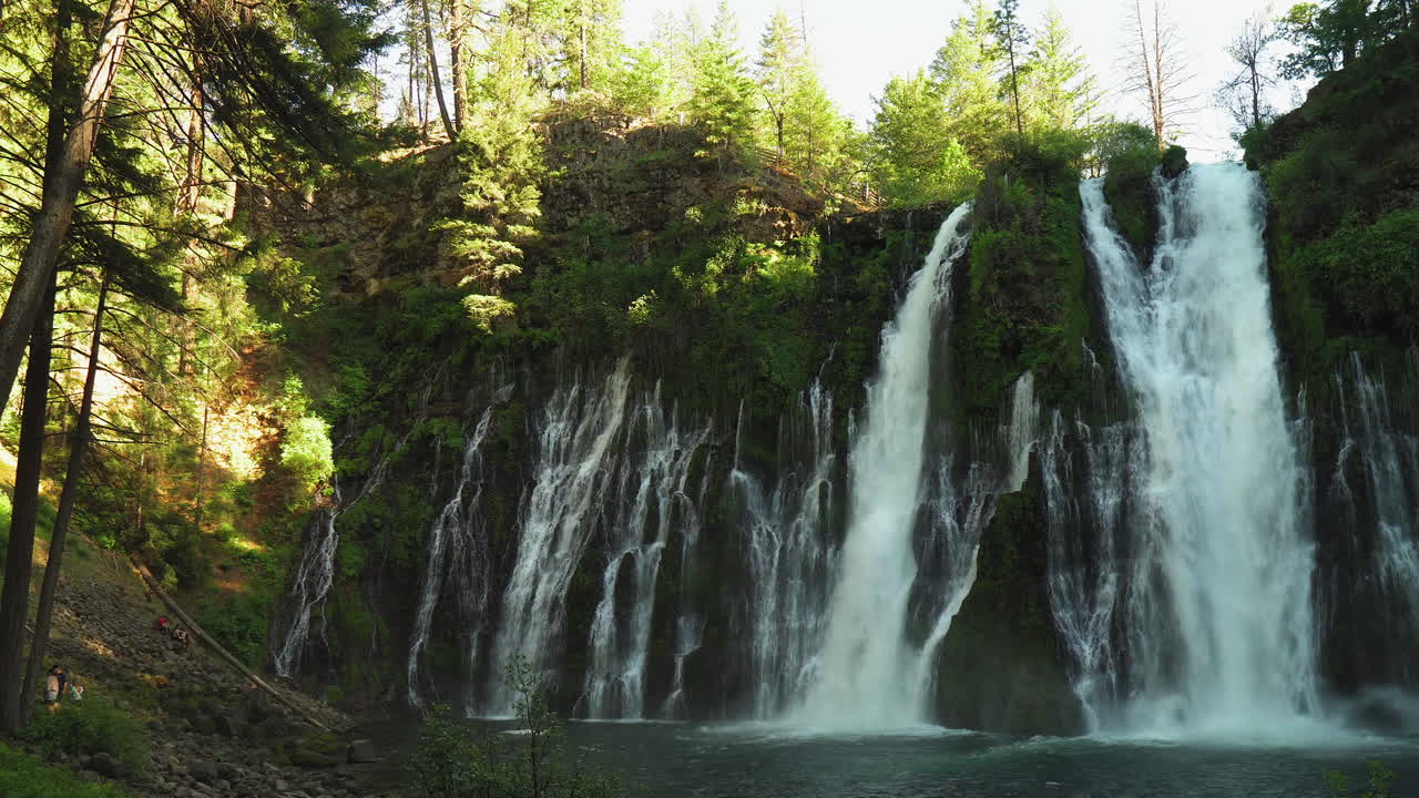 Paesaggio delle cascate Burney, cascata nella foresta in California, con acqua che cade da una parete rocciosa muschiosa.