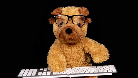 teddy bear with glasses working on a computer keyboard