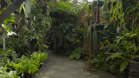 joven turista latina hermosa disfruta caminando dentro de los jardines del centro de sueños tropicales prefectura de naha okinawa japón relajarse zen