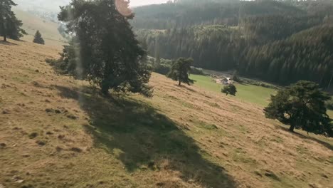 imágenes cinematográficas aéreas y de proximidad de un dron de carreras fpv volando cuesta abajo entre hermosos pinos en saling, cierny balog, eslovaquia central