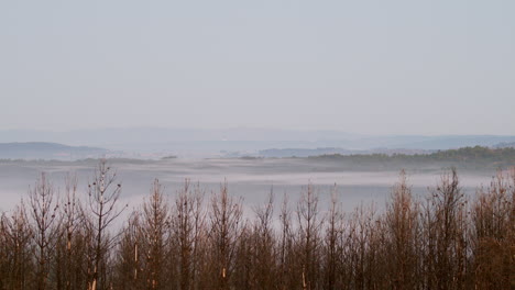 endless river of mist on the mountain landscape