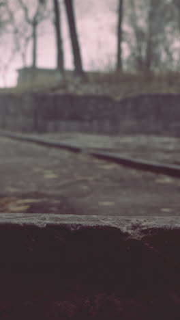 rusty railroad tracks in a foggy autumn forest