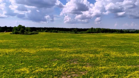 Un-Paisaje-Pintoresco-De-Exuberante-Vegetación-En-Skujene,-Letonia,-Europa---Drone-Volando-Hacia-Adelante