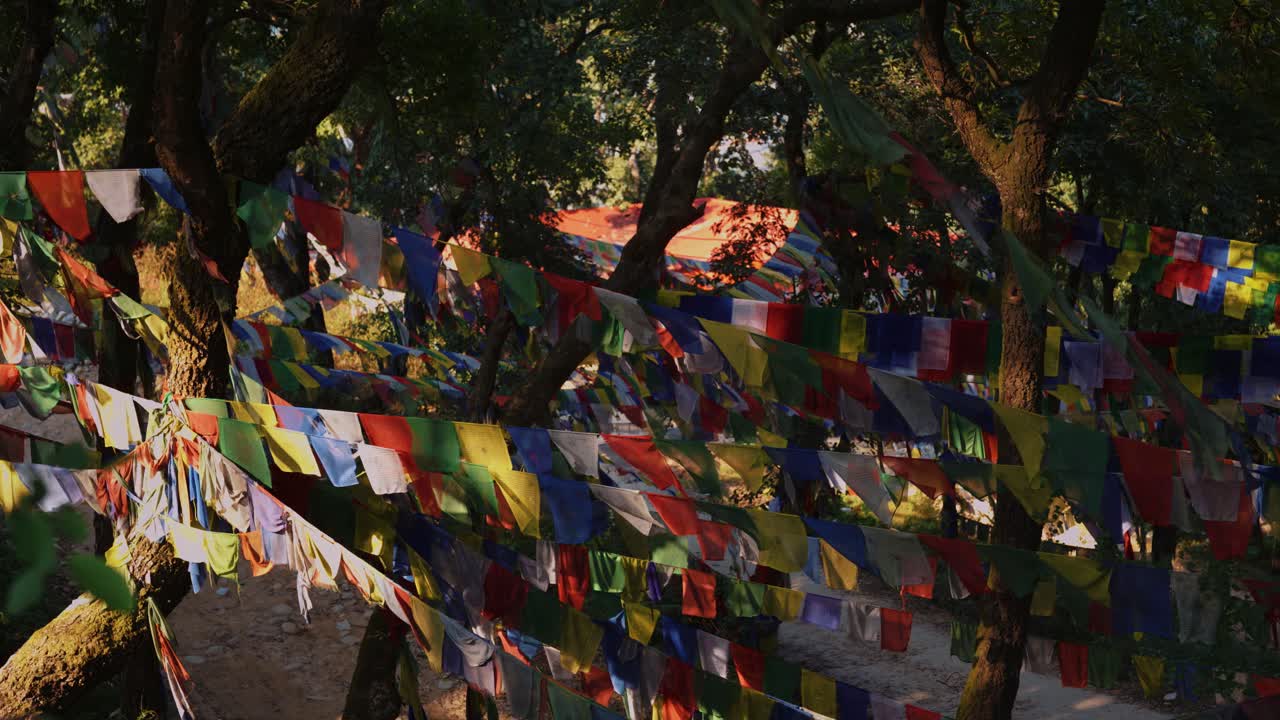 File di bandiere di preghiera multicolori tra grandi alberi vicino al Tempio di Changu Narayan, Nepal, vista panoramica.