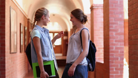 classmates standing in hallway chatting