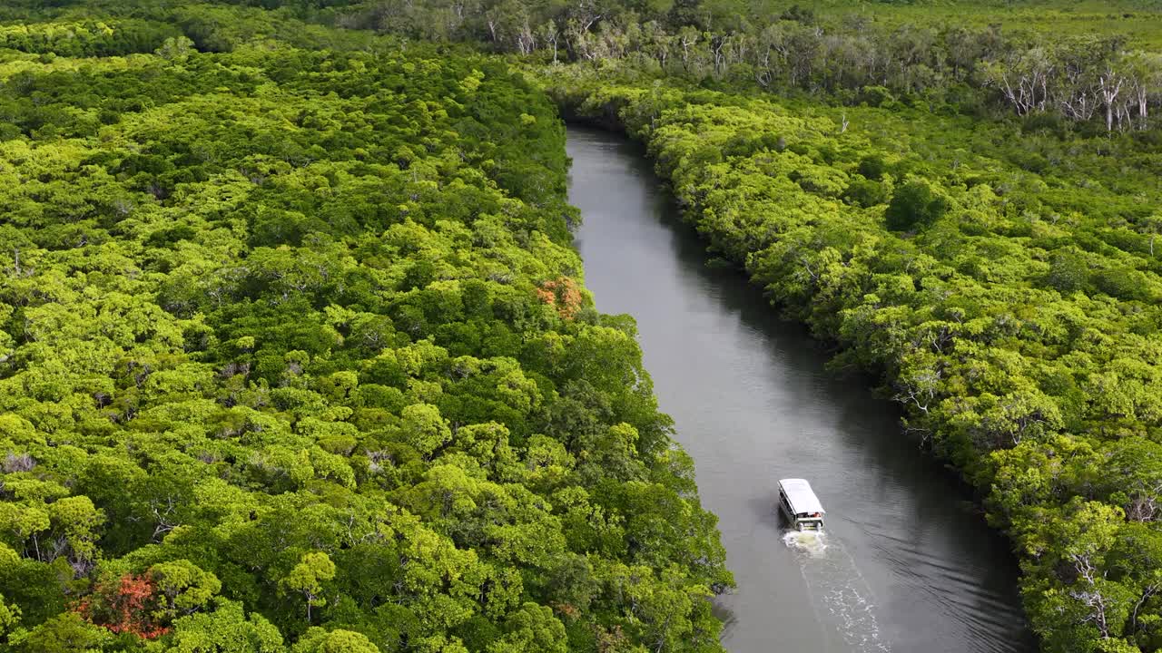 Aerial drone footage tracks a tour boat navigating a winding river through lush Daintree Rainforest in daylight, highlighting dense green canopy and tranquil waterway