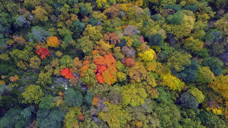 Aerial-view-of-mountains-and-colorful-trees