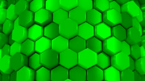 animated honeycombs changes color