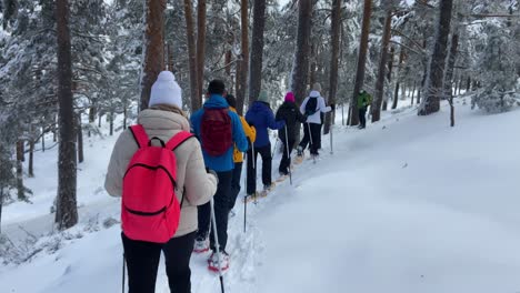 snowshoes tour expedition guide leading line of hikers in snowy forest