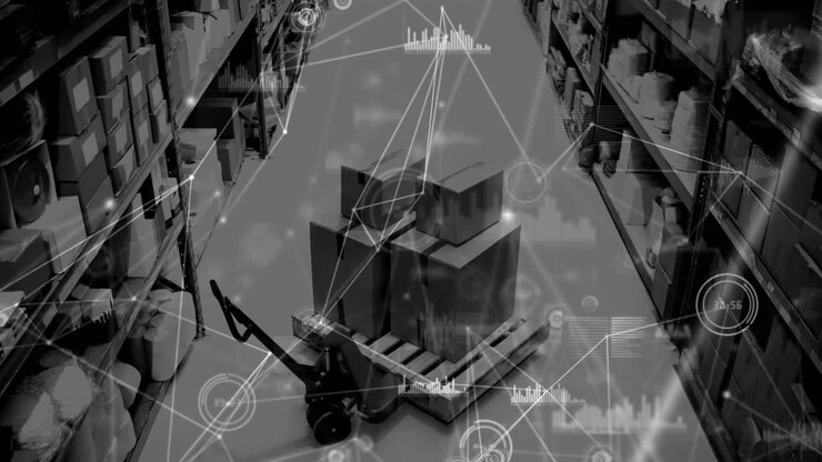Animation of network of connections and data processing over warehouse