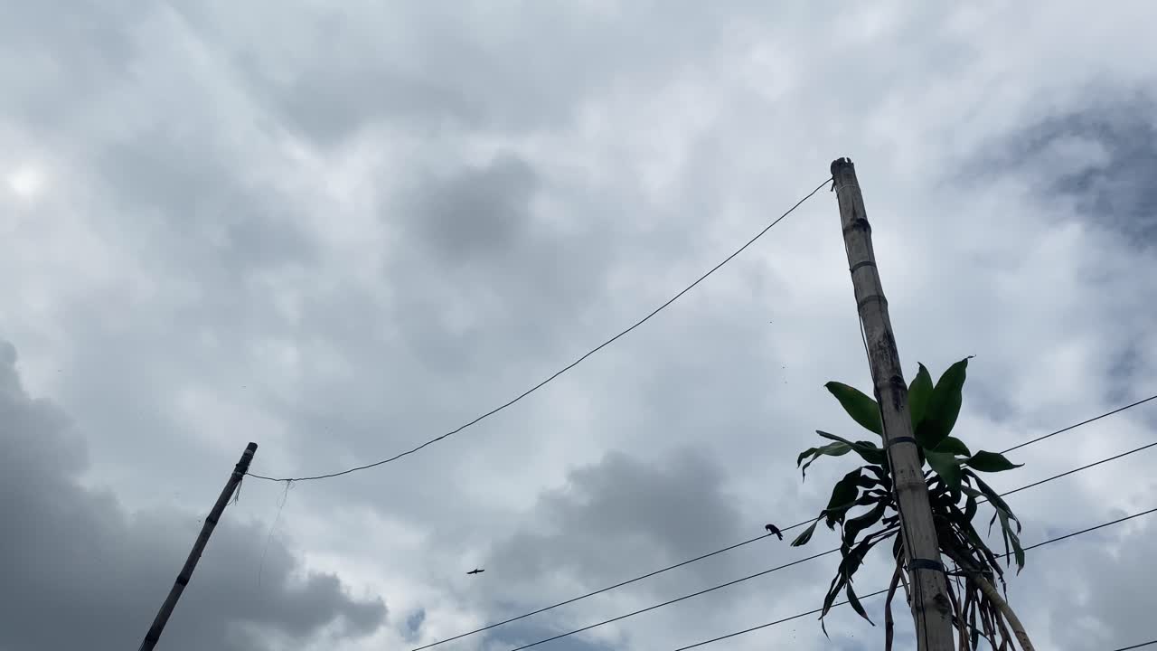 líneas eléctricas en un día de mal humor