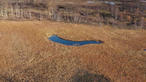 aerial view of the small pond in the norwegian wetlands