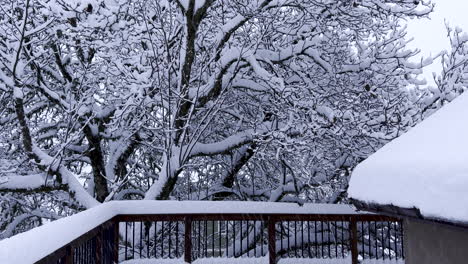 Schnee-Auf-Einem-Deckbalkon