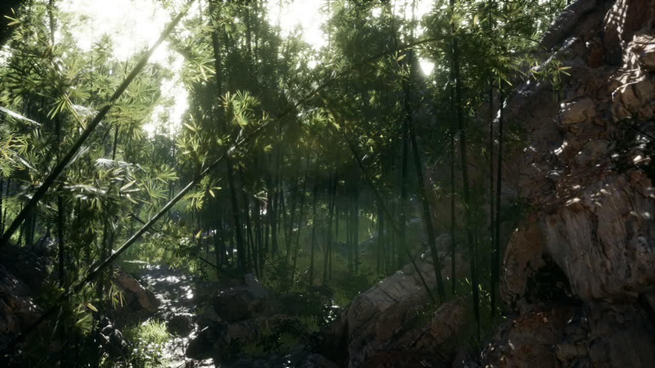 hojas verdes exuberantes de bambú cerca de la orilla de un estanque con piedras.