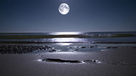 moonlight beach scene