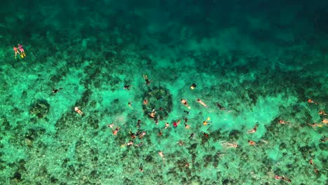 Many-Tourists-Snorkeling-in-Turquoise-Sea-at-Gili-Statue-Snorkel-Spot-in-Indonesia---Aerial-Top-Down-Descend