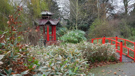 a chinese garden in winter with bushes, trees, flowers and a red bridge and traditional building