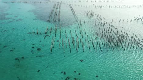 drone shot of celebes turquoise sea farming in malaysia, pan left