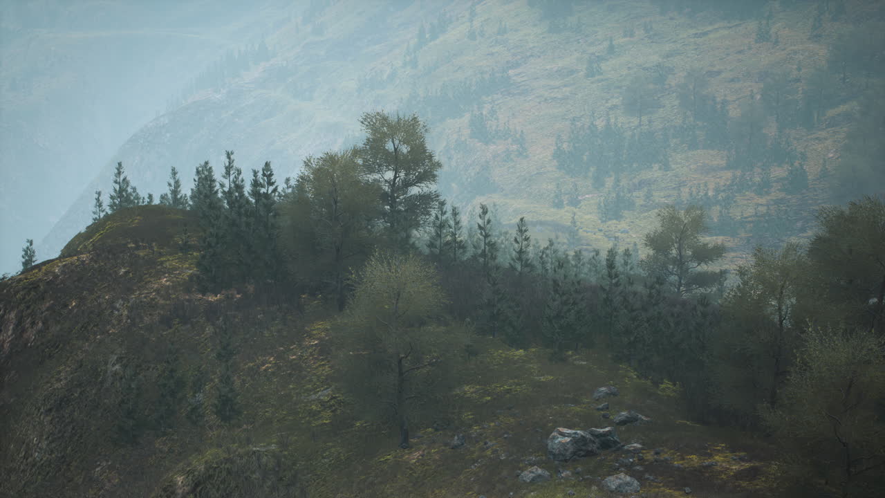pequeños árboles verdes en las colinas en la niebla