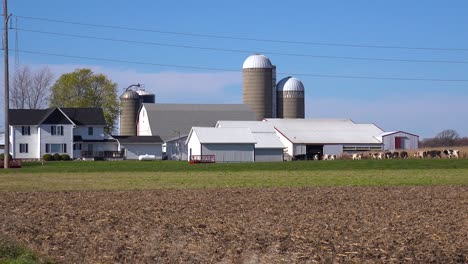 wide shot of a wisconsin dairy farm as cows enter the barn