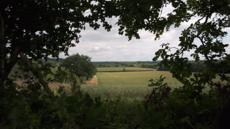 Wind-Weht-Durch-Bäume,-Die-Eine-Ländliche-Szene-Von-Ackerland-In-Der-Landschaft-Von-Warwickshire,-England,-Großbritannien-Umrahmen