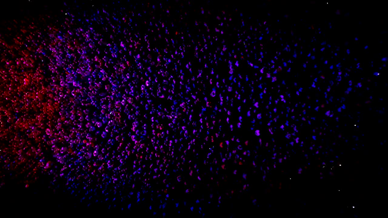 una multitud de personas en un concierto. punto de vista de avión no tripulado